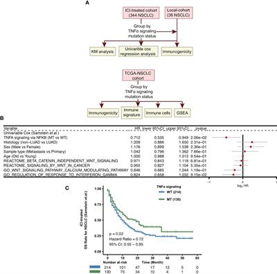 TNF-Alpha Pathway Alternation Predicts Survival of Immune Checkpoint Inhibitors in Non-Small Cell Lung Cancer